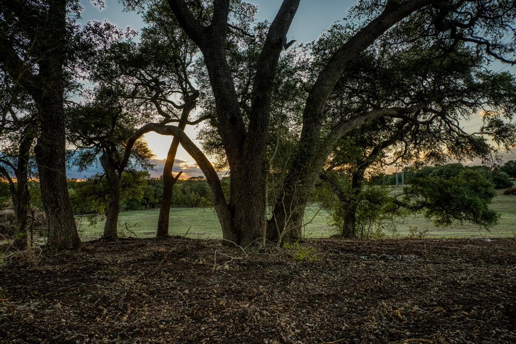 Bauer Rd Road, Fayetteville, Texas image 9