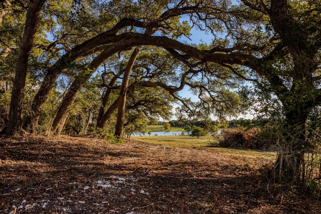 Bauer Rd Road, Fayetteville, Texas image 3