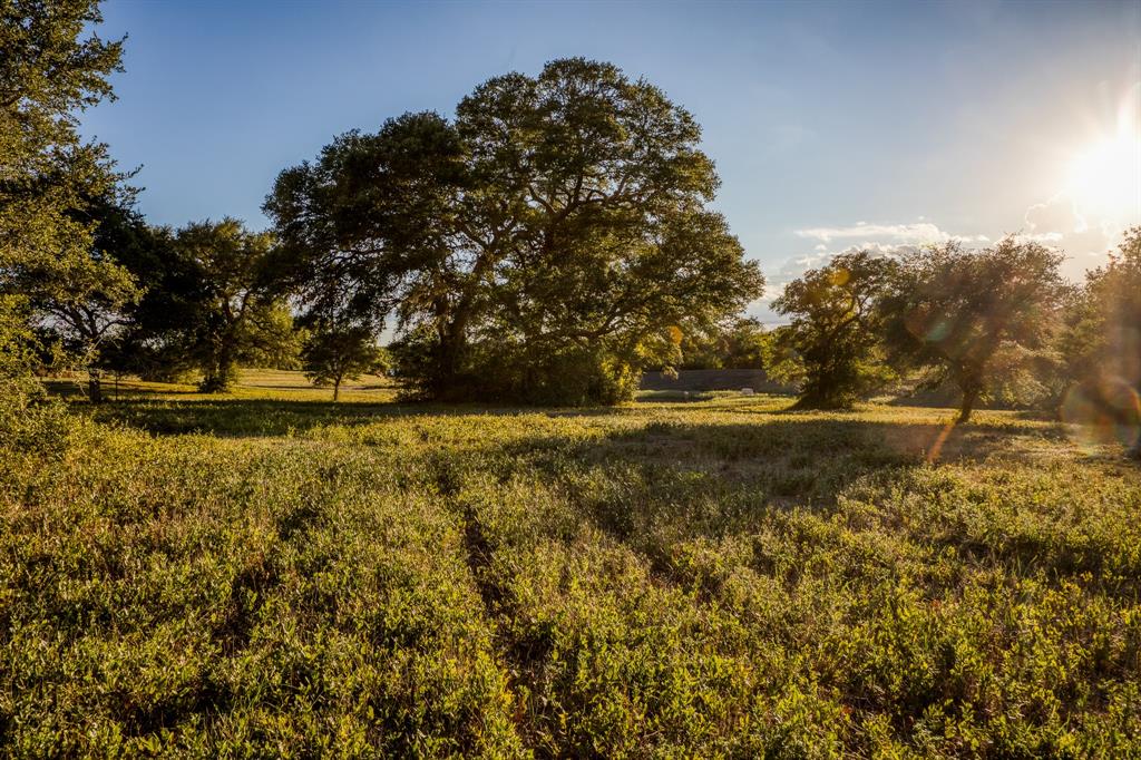 Bauer Rd Road, Fayetteville, Texas image 14