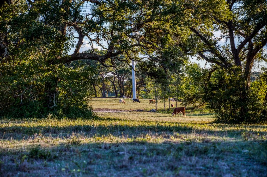 Bauer Rd Road, Fayetteville, Texas image 13