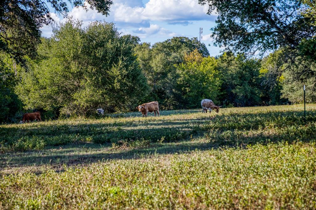 Bauer Rd Road, Fayetteville, Texas image 12