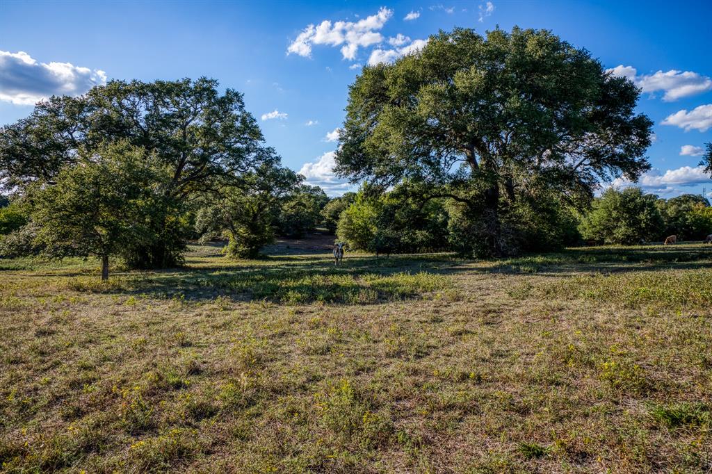 Bauer Rd Road, Fayetteville, Texas image 11