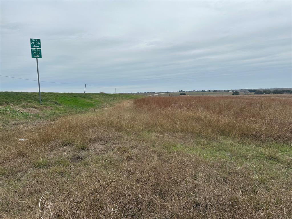 Tract 3 Hwy 77, Hallettsville, Texas image 4