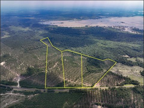 Vacant Land For Sale - Fm 92<br/> Colmesneil, TX 75938
