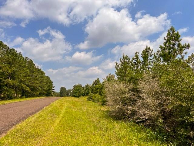 Fm 92, Colmesneil, Texas image 8