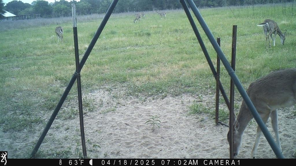 2204 West Old Lockhart Rd Rd, West Point, Texas image 36