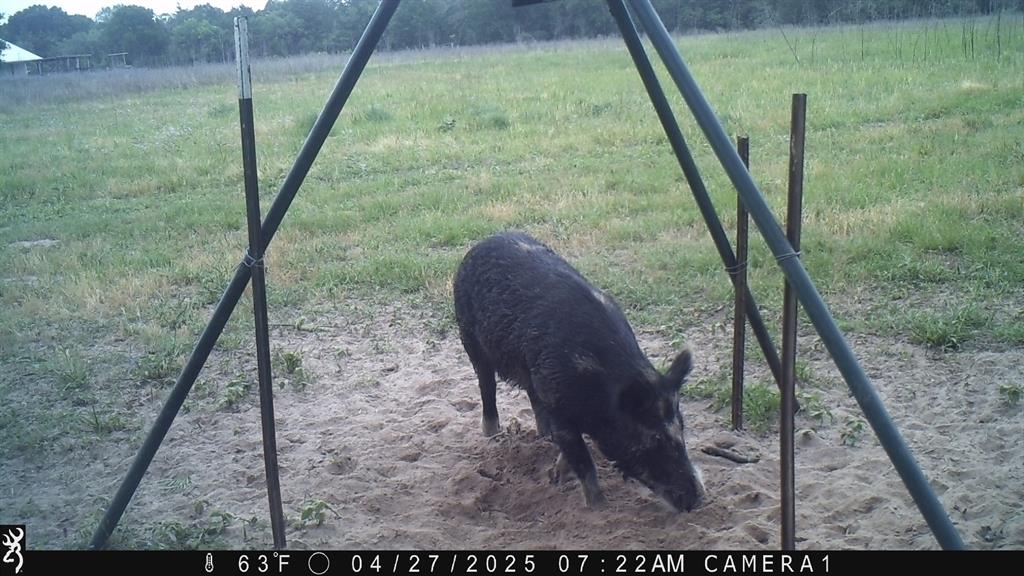 2204 West Old Lockhart Rd Rd, West Point, Texas image 38