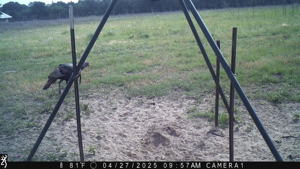 2204 West Old Lockhart Rd Rd, West Point, Texas image 39