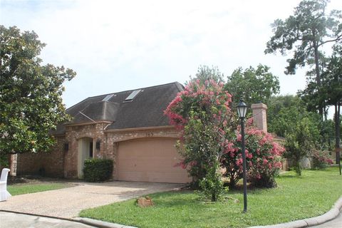 Single Family Residence in Houston TX 365 Champions Colony III.jpg