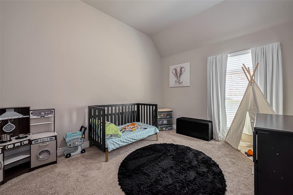 20010 Silver Mesia Circle, Cypress, Texas image 27