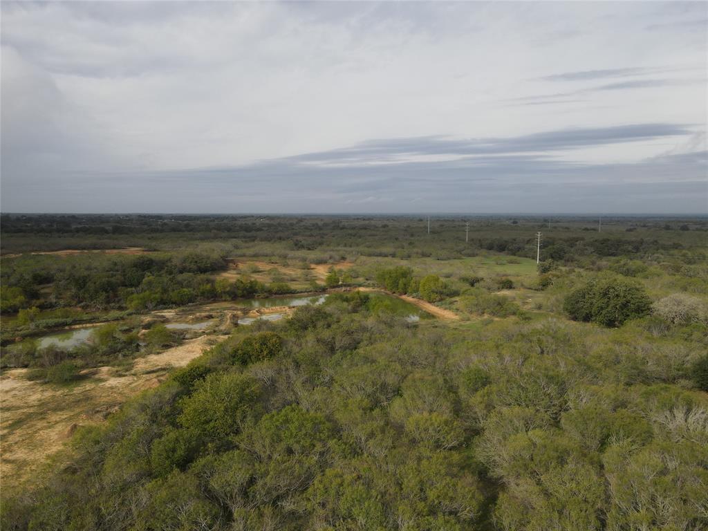 Fm 1117, Seguin, Texas image 1