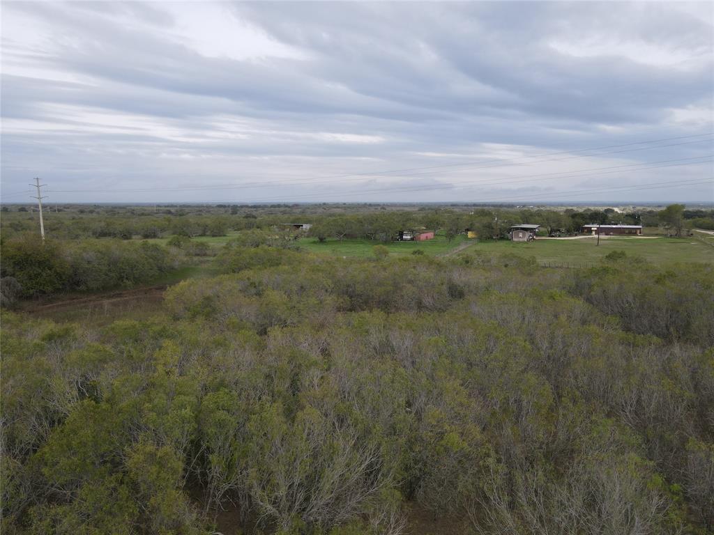 Fm 1117, Seguin, Texas image 6