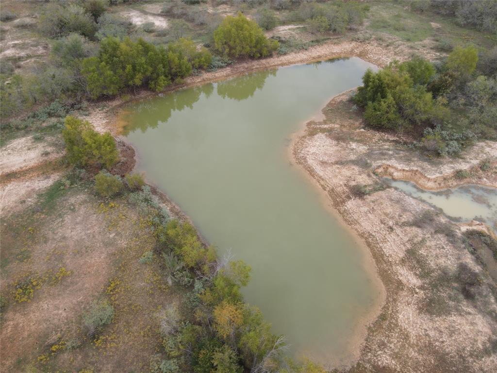 Fm 1117, Seguin, Texas image 7