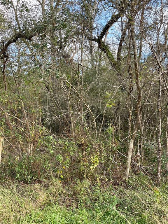 281 Tr 5 Ramblewood Road, Sargent, Texas image 3