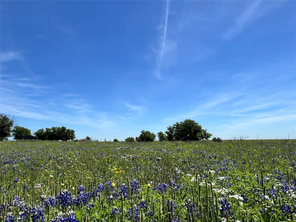 217 Acres Jozwiak Road, Chappell Hill, Texas image 3