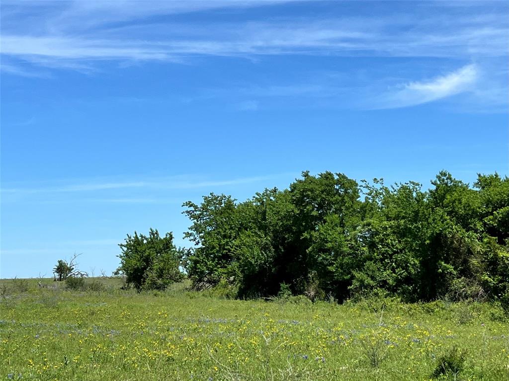 217 Acres Jozwiak Road, Chappell Hill, Texas image 4