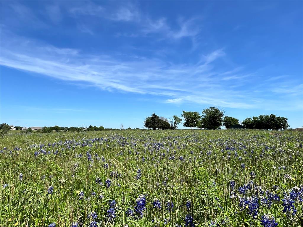 217 Acres Jozwiak Road, Chappell Hill, Texas image 9