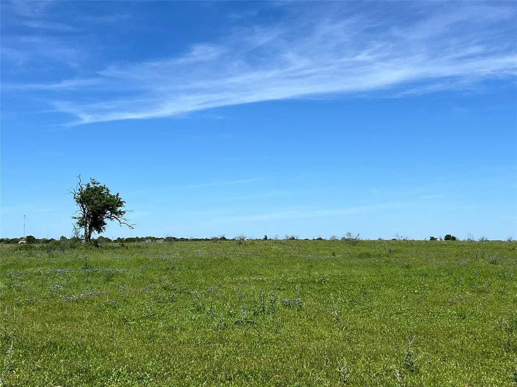 217 Acres Jozwiak Road, Chappell Hill, Texas image 7