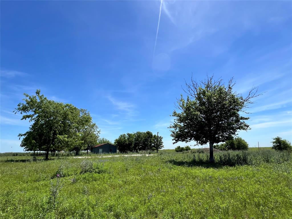 217 Acres Jozwiak Road, Chappell Hill, Texas image 6