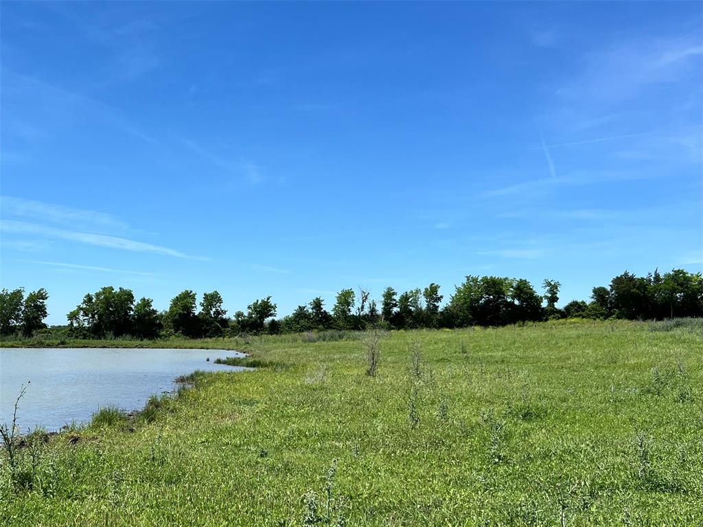 217 Acres Jozwiak Road, Chappell Hill, Texas image 8