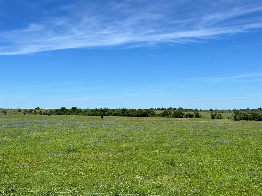 217 Acres Jozwiak Road, Chappell Hill, Texas image 2