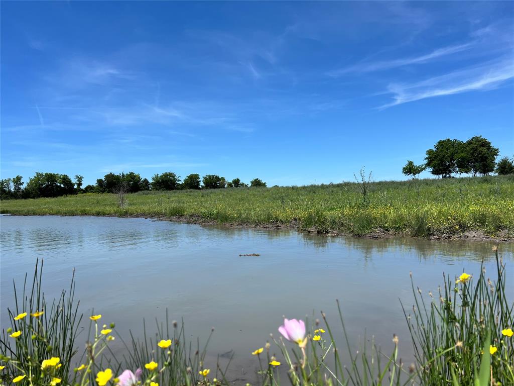 217 Acres Jozwiak Road, Chappell Hill, Texas image 5