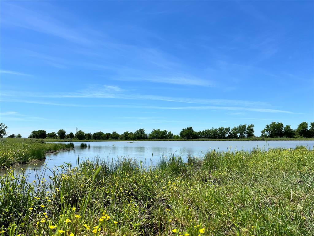 217 Acres Jozwiak Road, Chappell Hill, Texas image 1