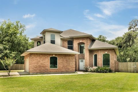 Single Family Residence in Brazoria TX 10113 County Road 400 1.jpg