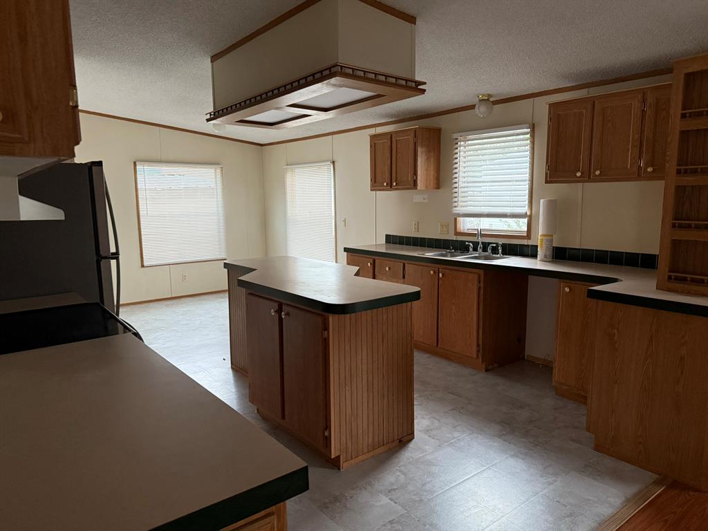 12219 Vista Real Real, Santa Fe, Texas image 6