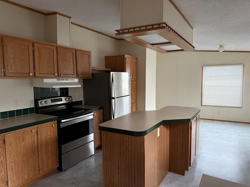 12219 Vista Real Real, Santa Fe, Texas image 7