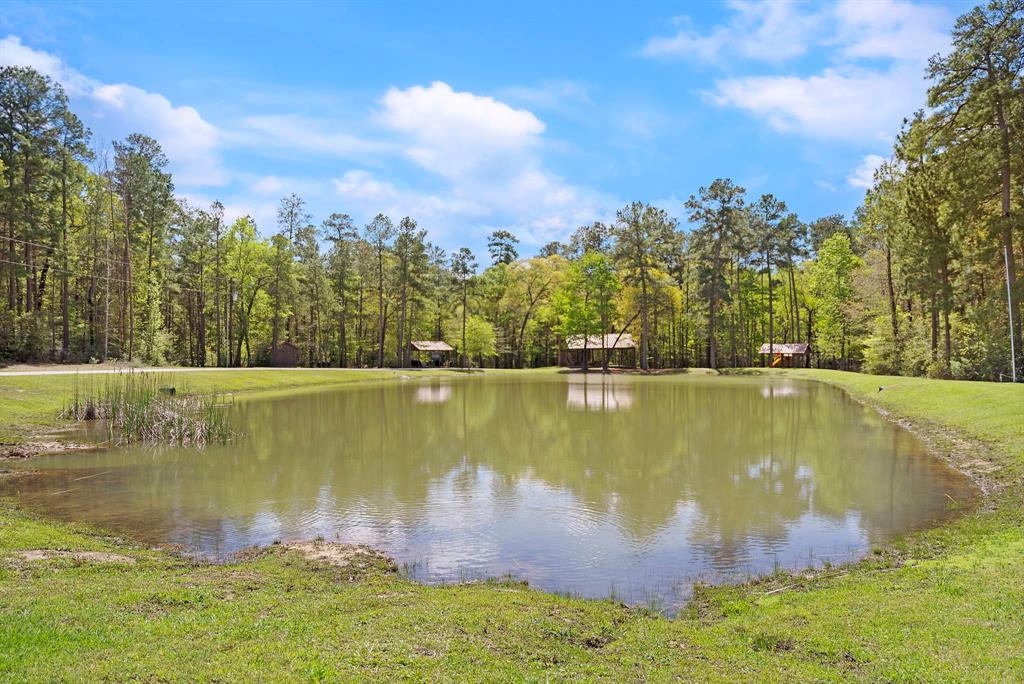 178 Stagecoach Circle, Huntsville, Texas image 22