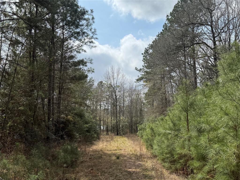 178 Stagecoach Circle, Huntsville, Texas image 6