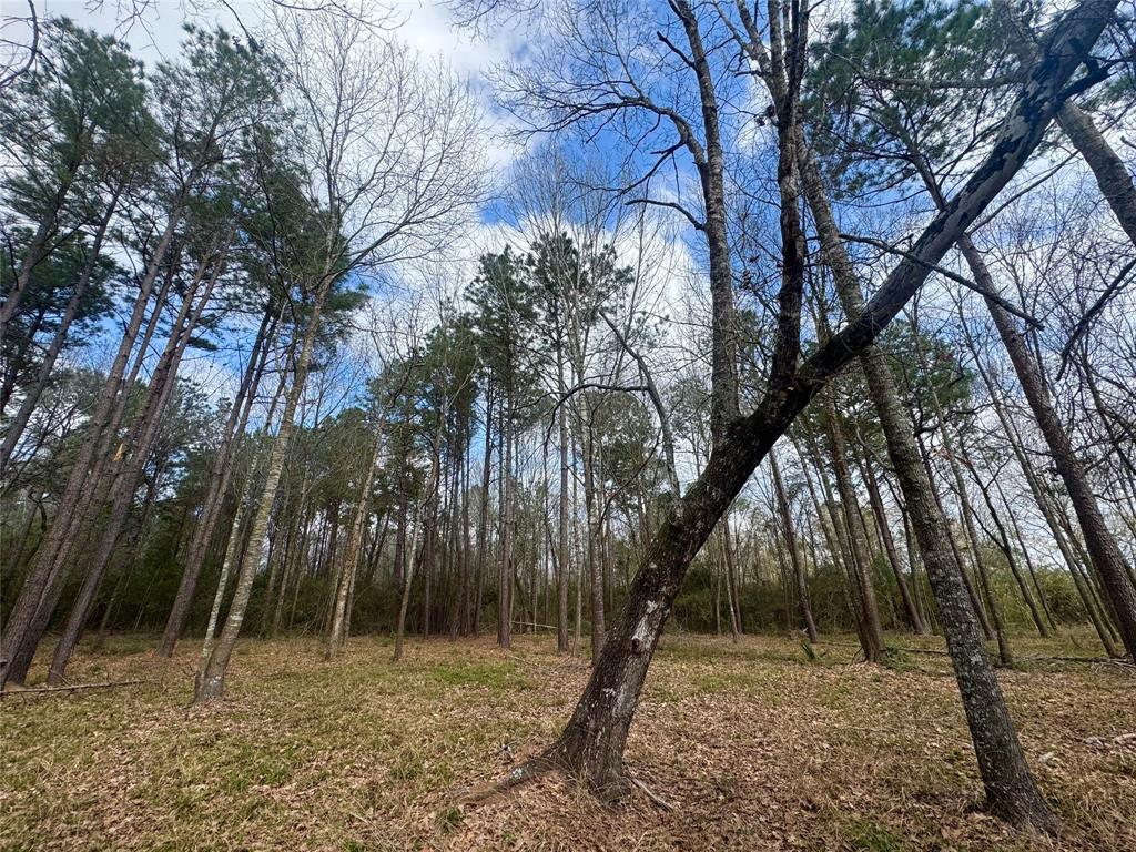 178 Stagecoach Circle, Huntsville, Texas image 10