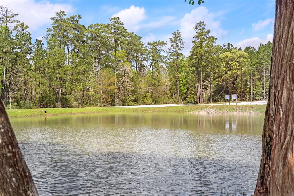 178 Stagecoach Circle, Huntsville, Texas image 25