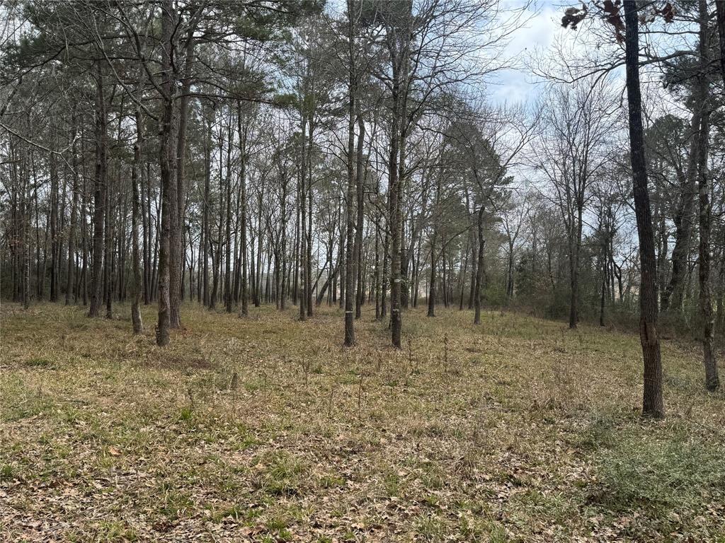 178 Stagecoach Circle, Huntsville, Texas image 8