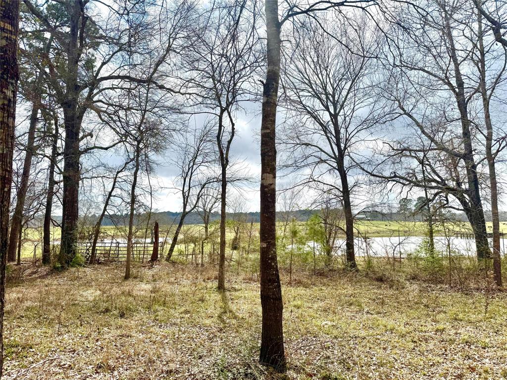 178 Stagecoach Circle, Huntsville, Texas image 3