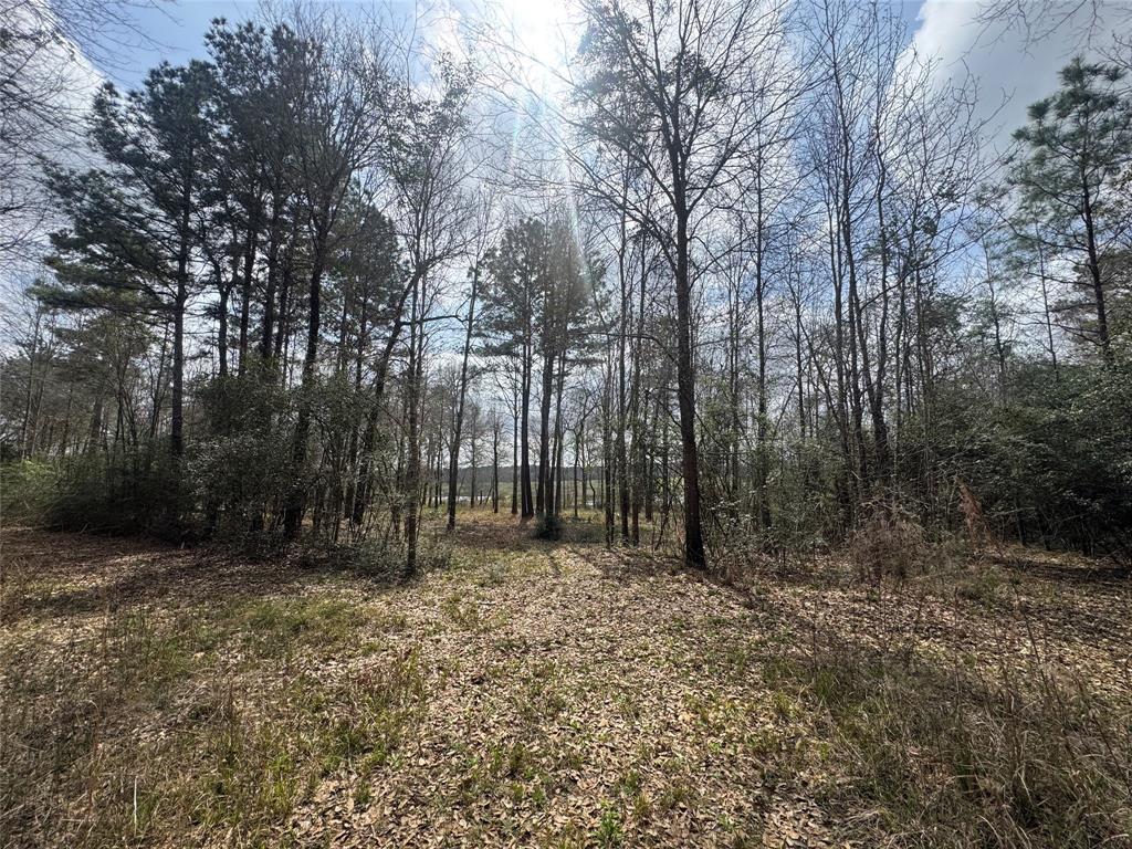 178 Stagecoach Circle, Huntsville, Texas image 7