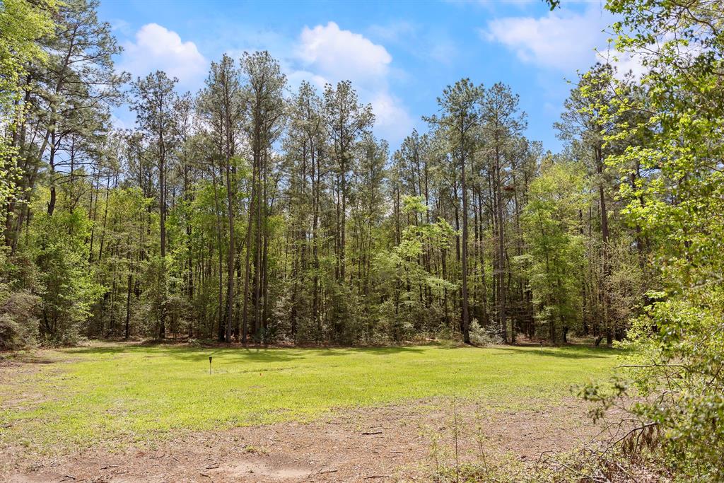 178 Stagecoach Circle, Huntsville, Texas image 30