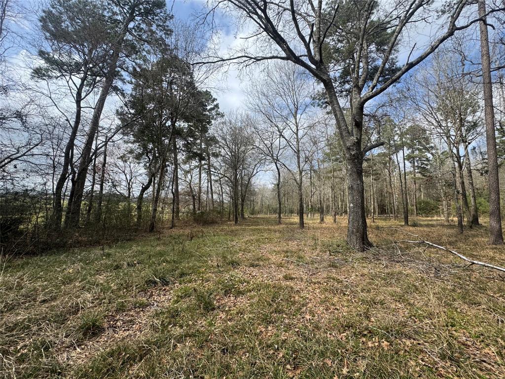 178 Stagecoach Circle, Huntsville, Texas image 4