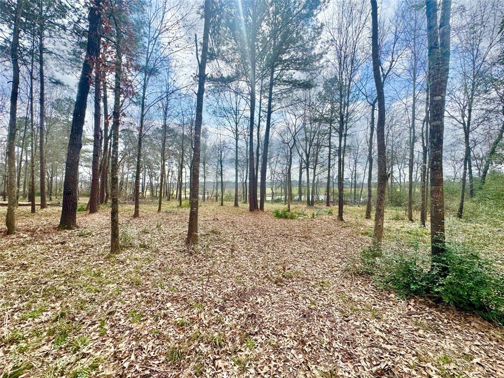 178 Stagecoach Circle, Huntsville, Texas image 2