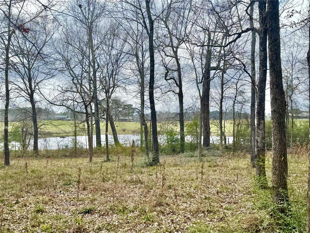 178 Stagecoach Circle, Huntsville, Texas image 1