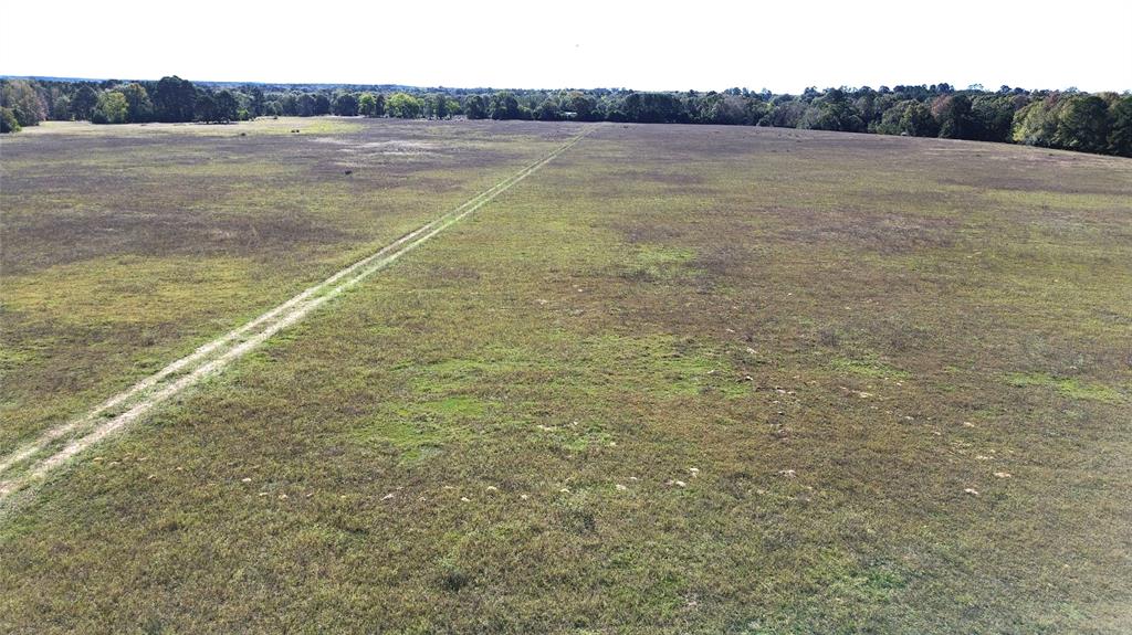 Augusta Road, Grapeland, Texas image 8