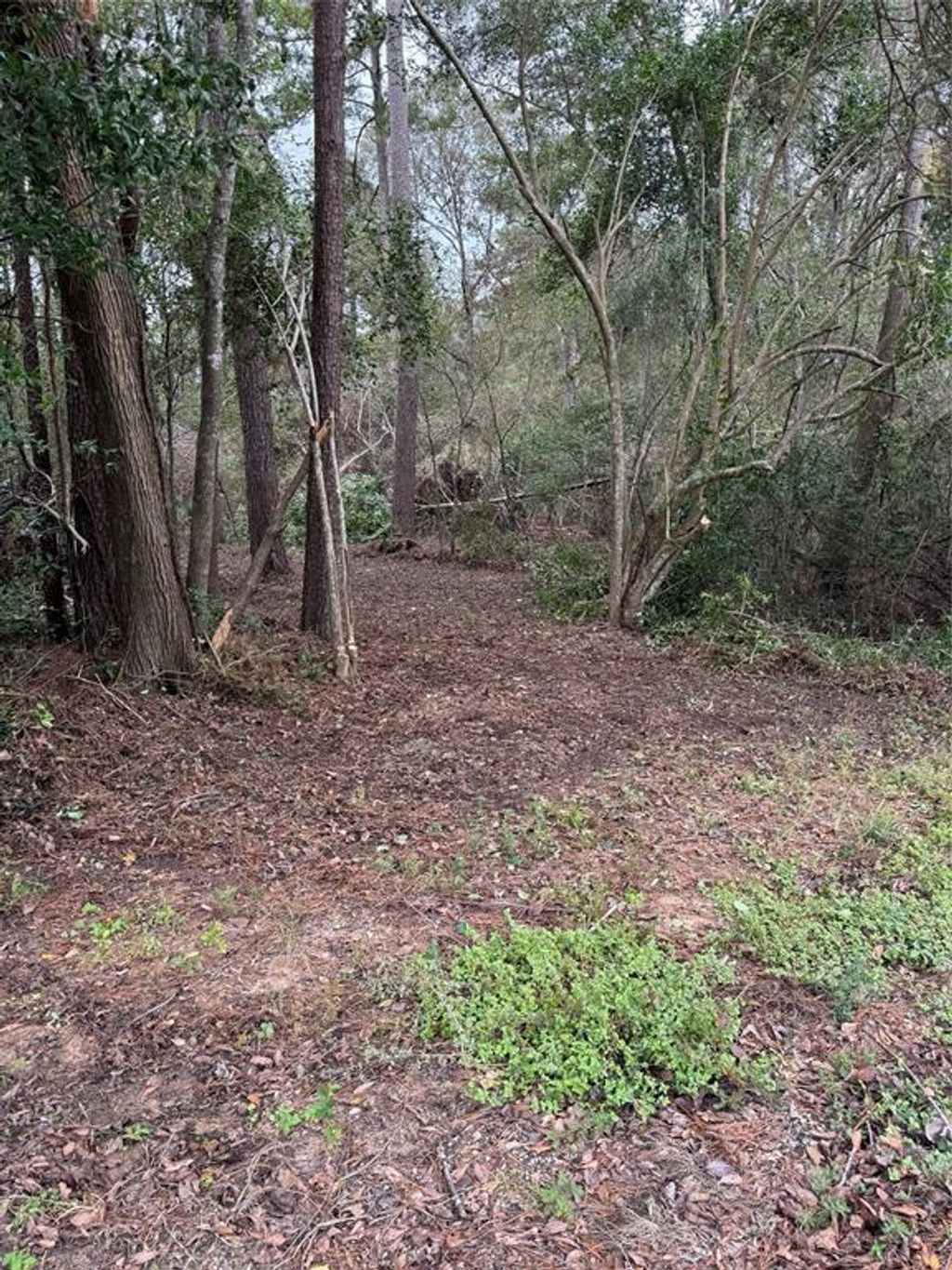 Photo of 1611 Athens Dr Dr, Roman Forest, TX 77357 (MLS # 53301803)