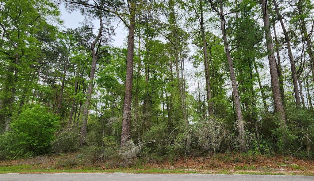 TBD Angus Drive, Onalaska, Texas image 1