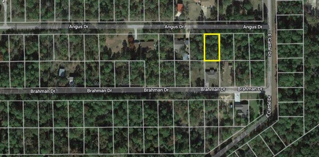 TBD Angus Drive, Onalaska, Texas image 6