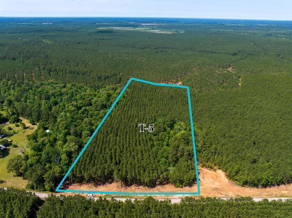 5 Camp Ruby Road, Livingston, Texas image 1