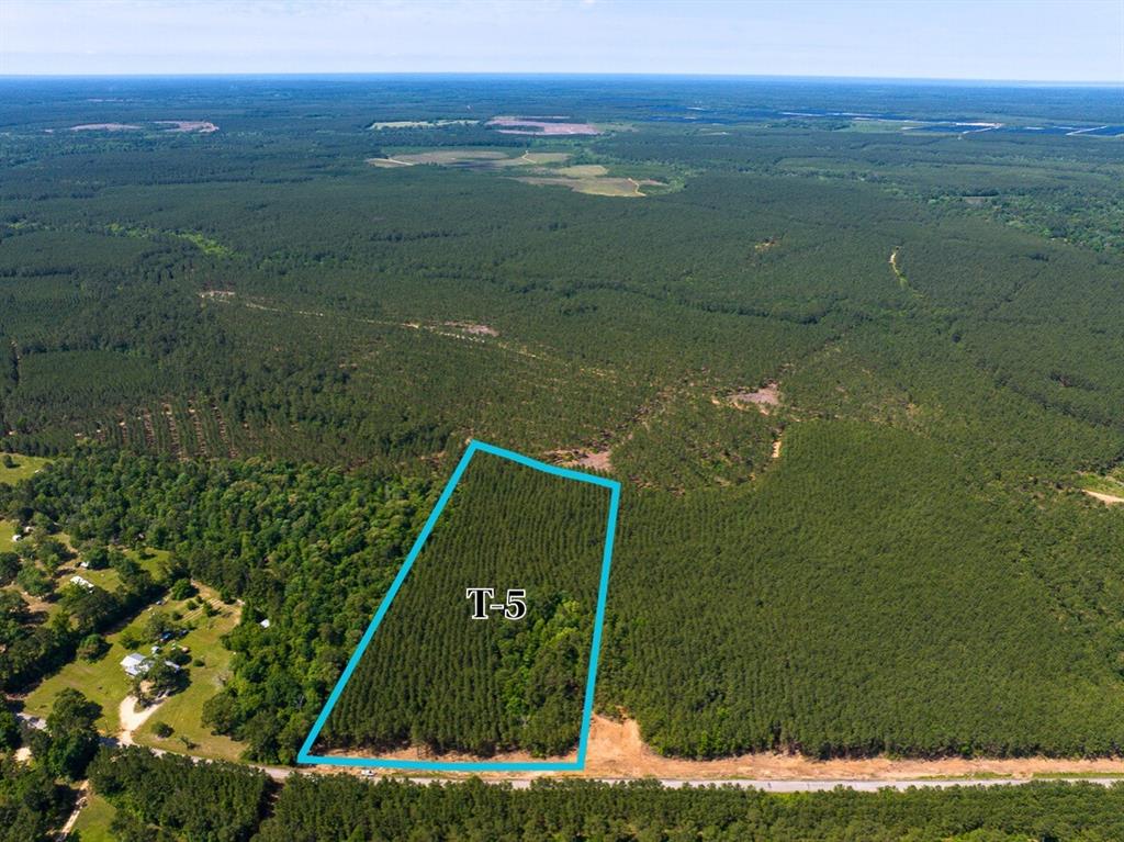 5 Camp Ruby Road, Livingston, Texas image 3