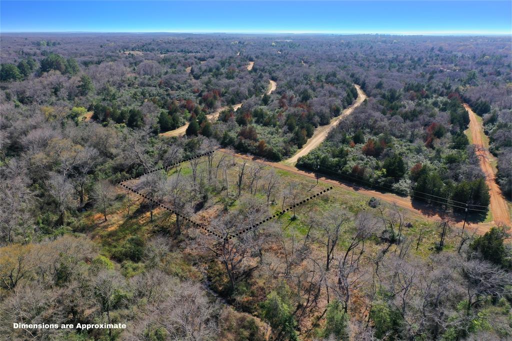 Sycamore Branch Road, Hilltop Lakes, Texas image 4