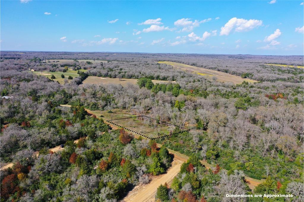 Sycamore Branch Road, Hilltop Lakes, Texas image 3