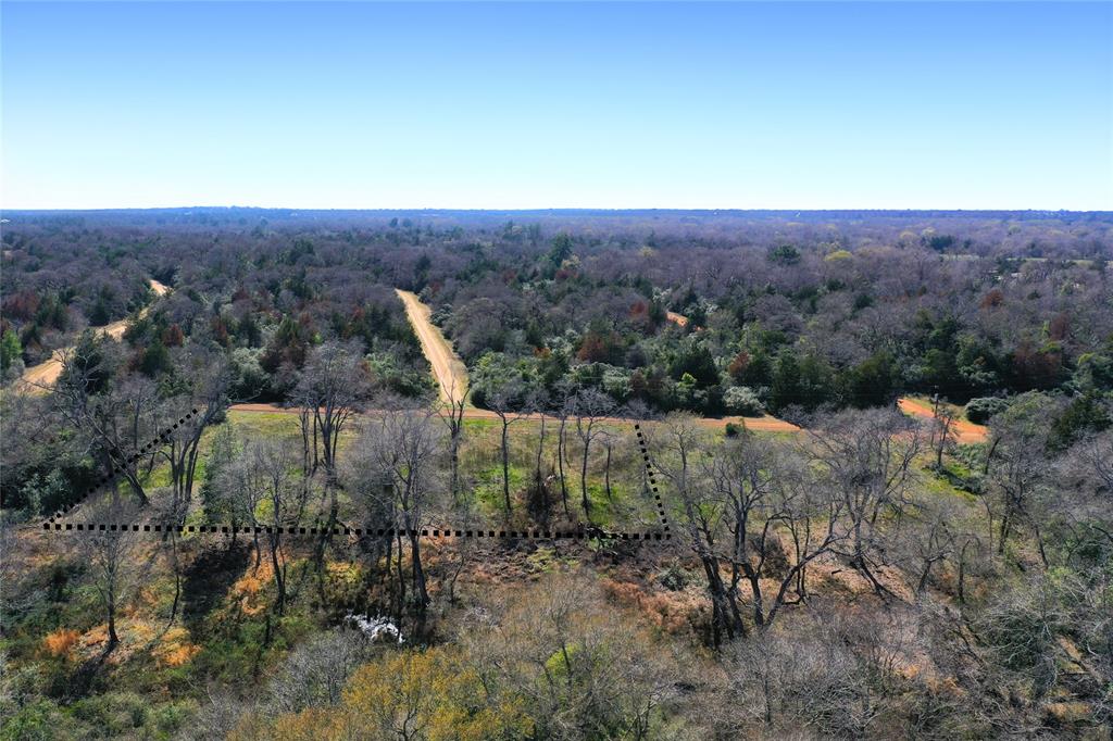 Sycamore Branch Road, Hilltop Lakes, Texas image 10